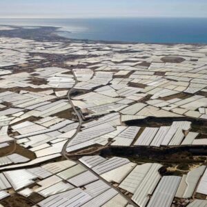 Mar de plástico y Almerimar